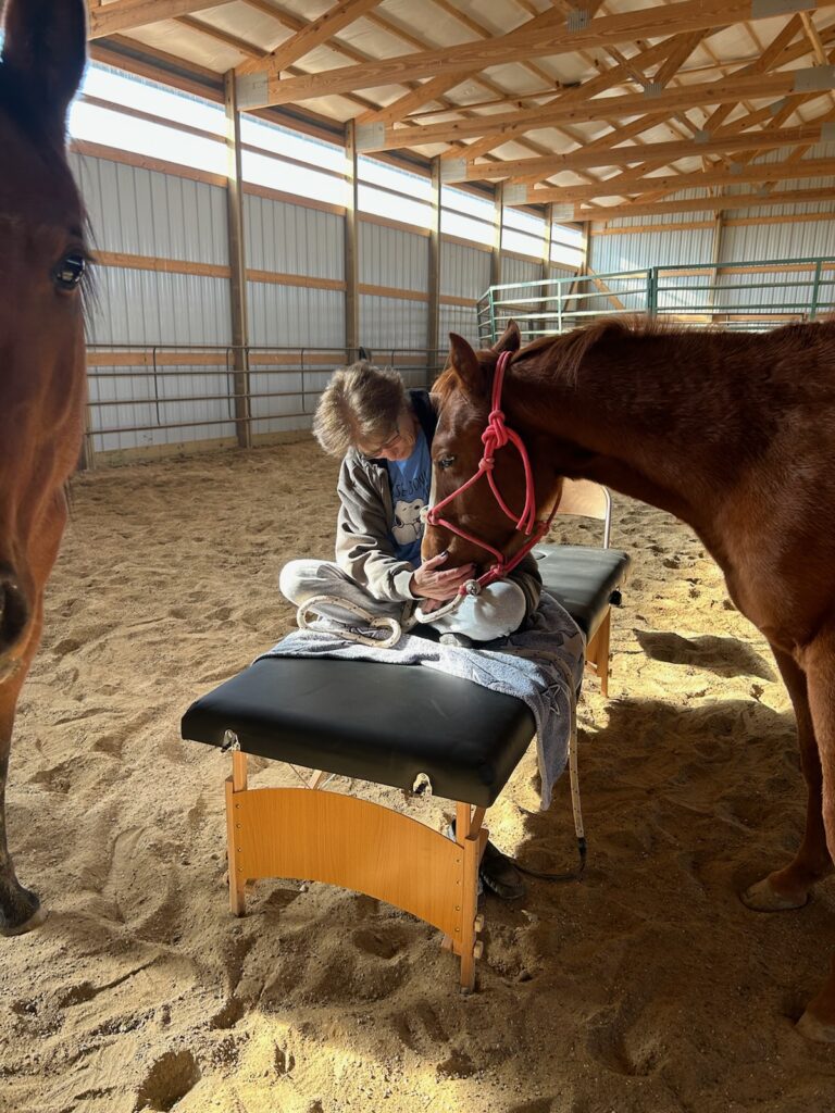 A horse is being treated - Kind Hearts Farm (Library)